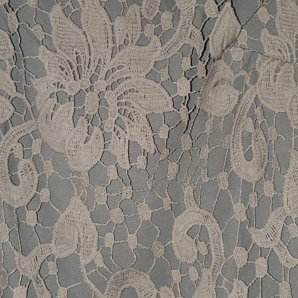 AX Paris lace sheath dress - Picture 7 of 7